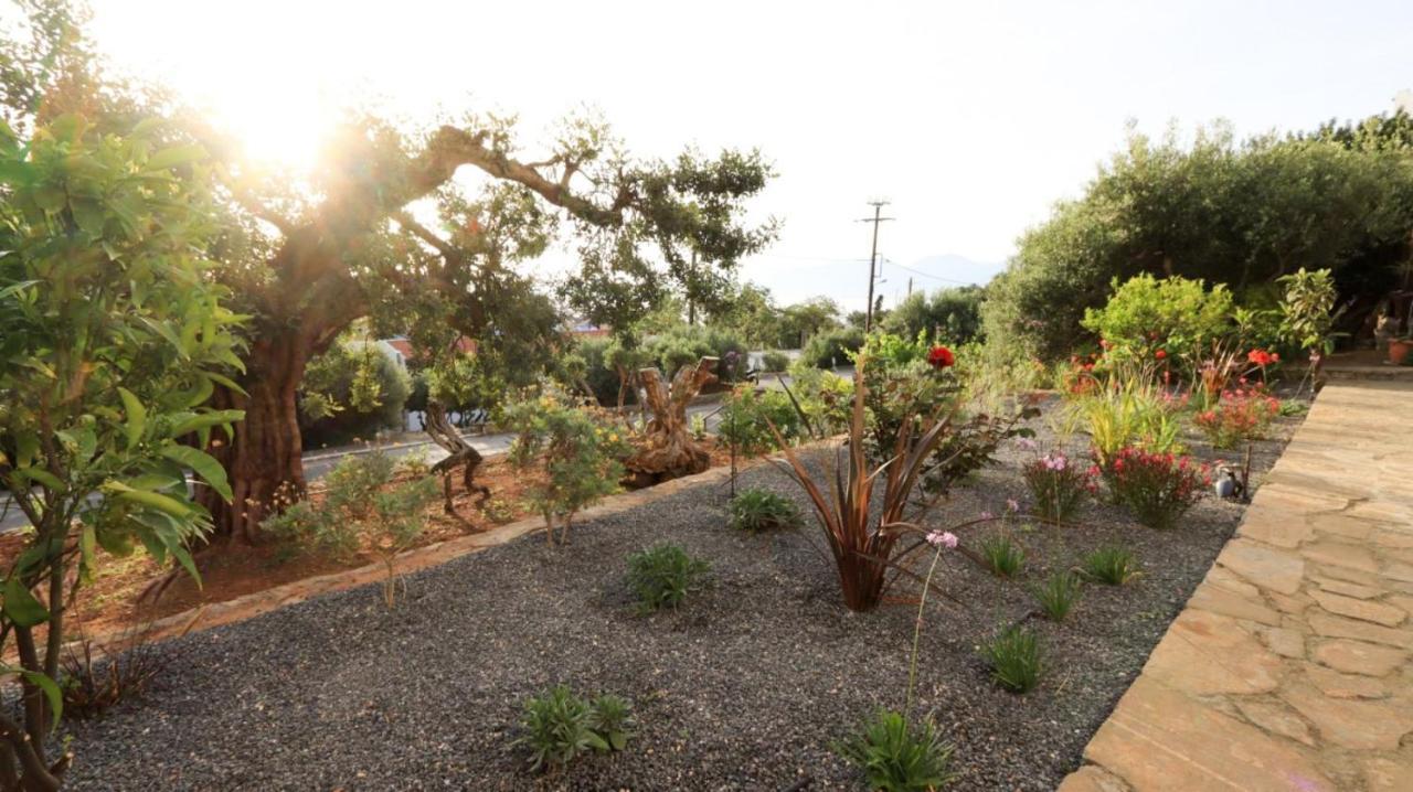 Comfortable Apartment With Garden - Casa Con Vista Havania المظهر الخارجي الصورة