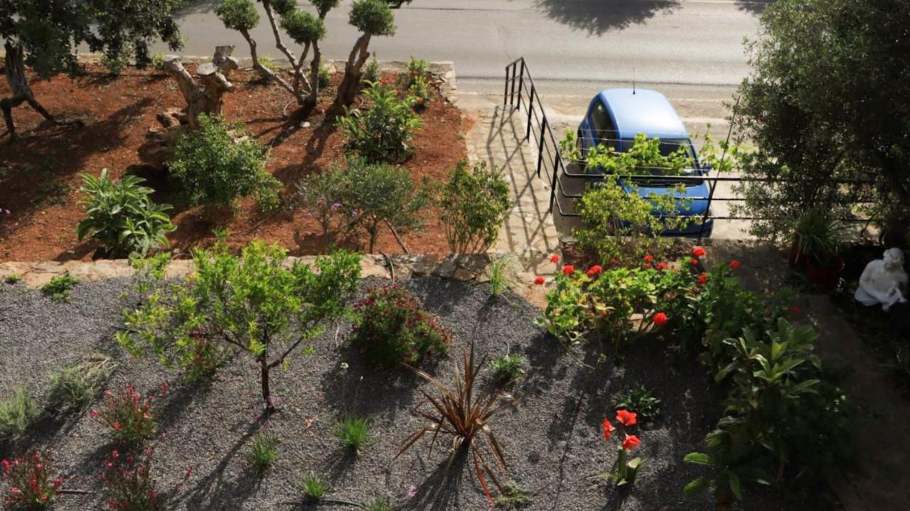 Comfortable Apartment With Garden - Casa Con Vista Havania المظهر الخارجي الصورة