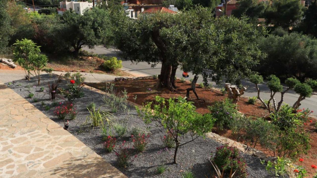 Comfortable Apartment With Garden - Casa Con Vista Havania المظهر الخارجي الصورة