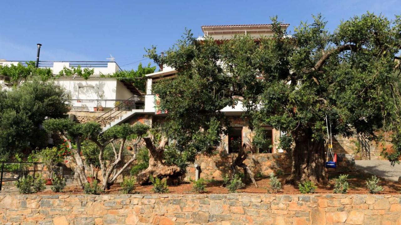 Comfortable Apartment With Garden - Casa Con Vista Havania المظهر الخارجي الصورة